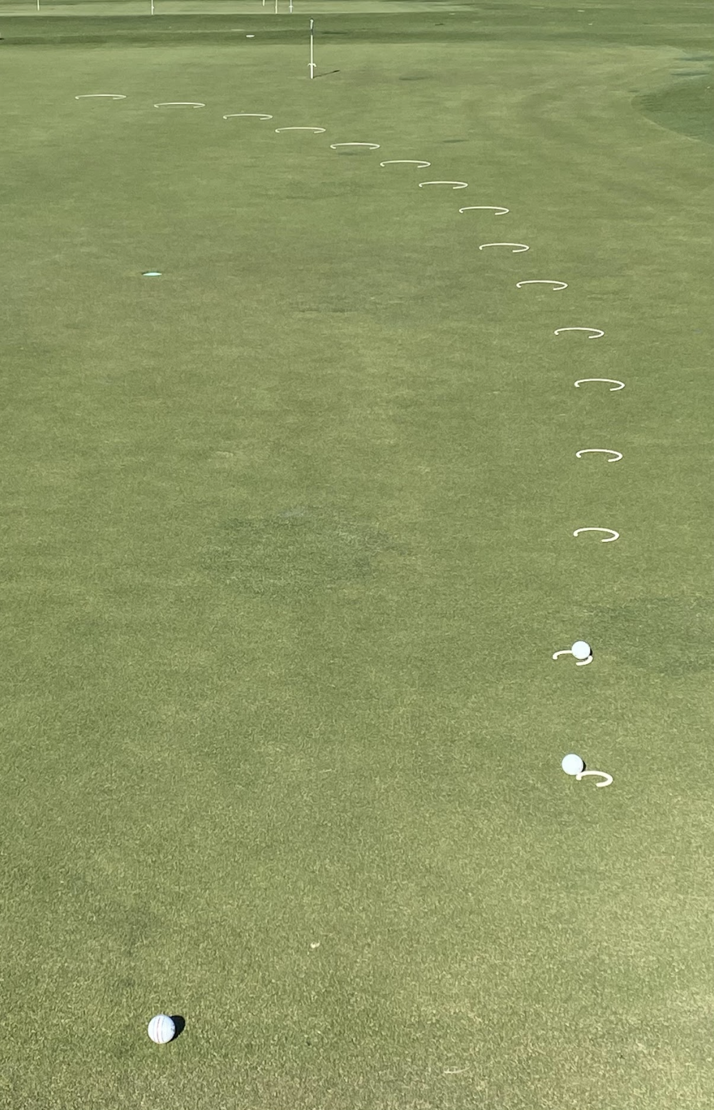 Horse Shoe Progressive Putting Drill (2 Sets)